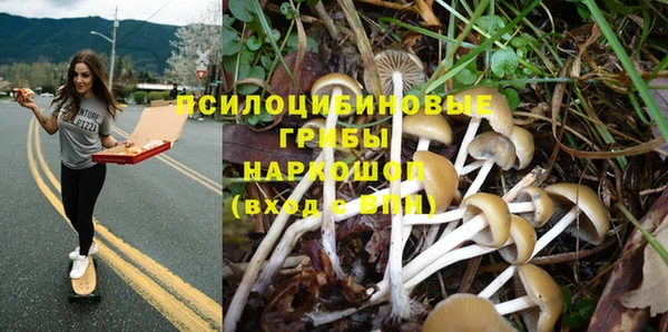 крисы Балахна