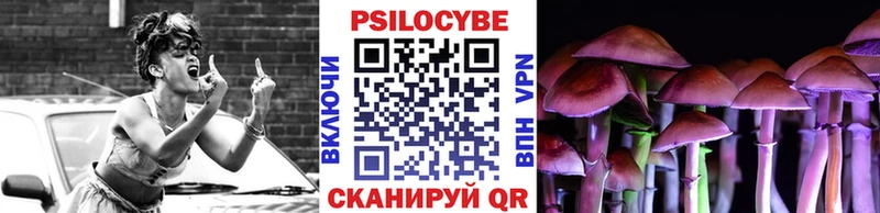 Псилоцибиновые грибы Psilocybe  дарнет шоп  Шилка 